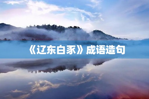 《辽东白豕》成语造句