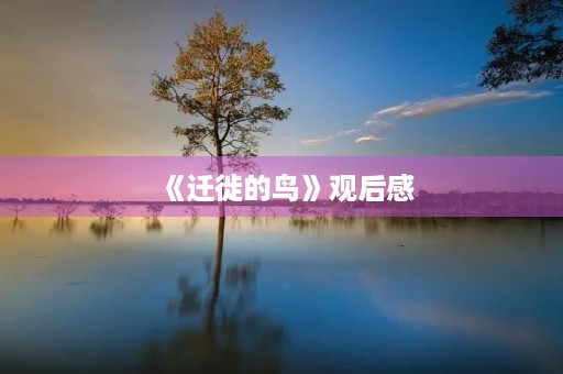《迁徙的鸟》观后感 《迁徙的鸟》观后感