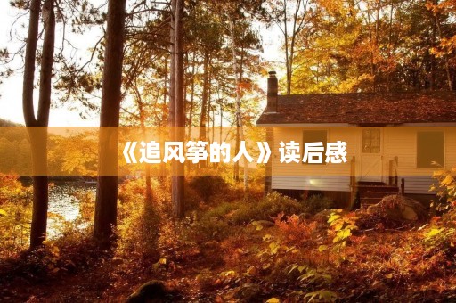 《追风筝的人》读后感 《追风筝的人》读后感