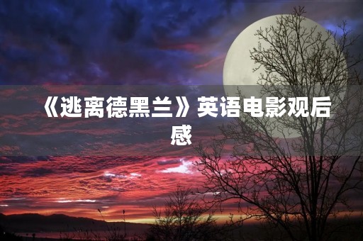 《逃离德黑兰》英语电影观后感 《逃离德黑兰》英语电影观后感