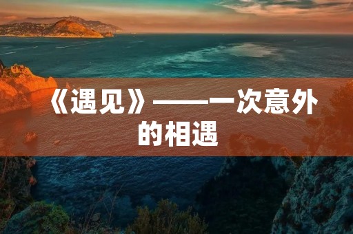 《遇见》——一次意外的相遇 《遇见》——一次意外的相遇