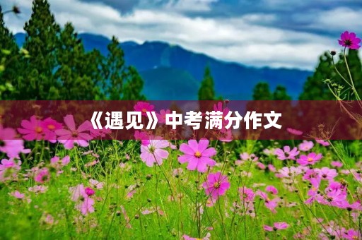 《遇见》中考满分作文 《遇见》中考满分作文