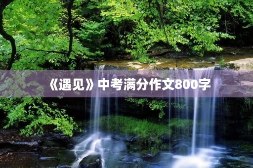 《遇见》中考满分作文800字