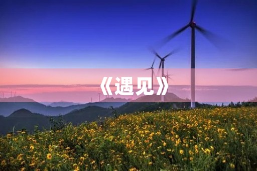 《遇见》 《遇见》