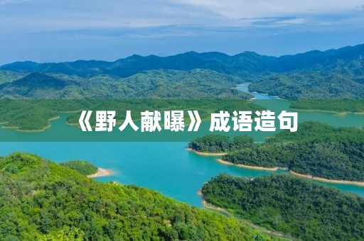 《野人献曝》成语造句