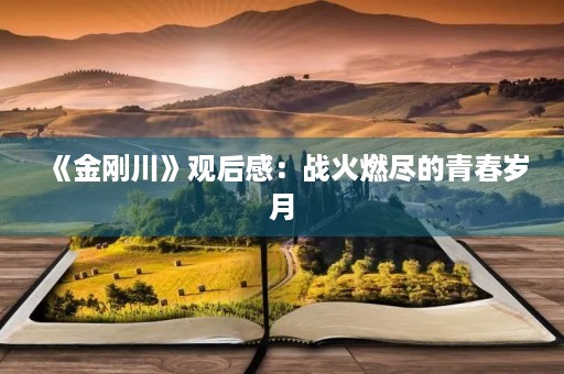 《金刚川》观后感：战火燃尽的青春岁月