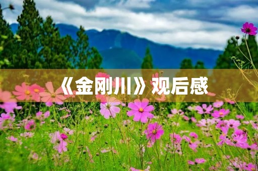 《金刚川》观后感