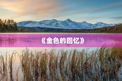 《金色的回忆》