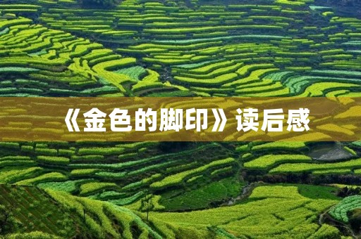 《金色的脚印》读后感