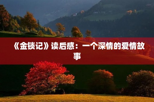 《金锁记》读后感：一个深情的爱情故事