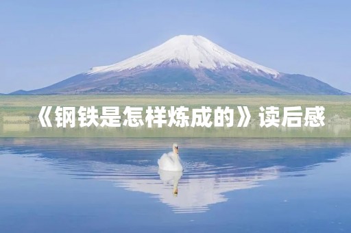 《钢铁是怎样炼成的》读后感 《钢铁是怎样炼成的》读后感