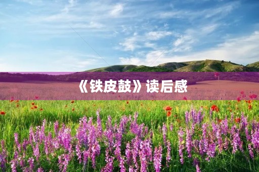 《铁皮鼓》读后感