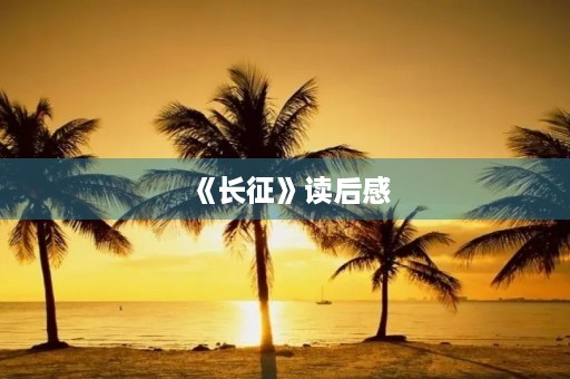 《长征》读后感