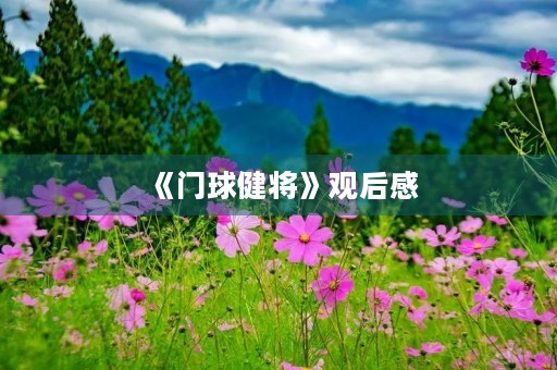 《门球健将》观后感