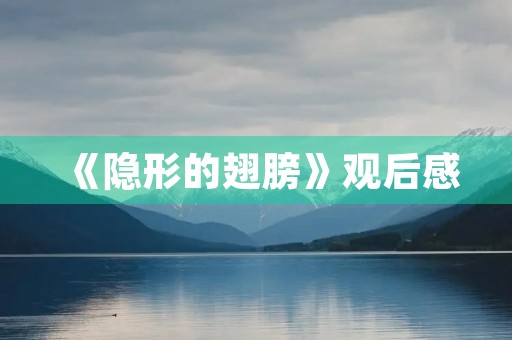 《隐形的翅膀》观后感 《隐形的翅膀》观后感