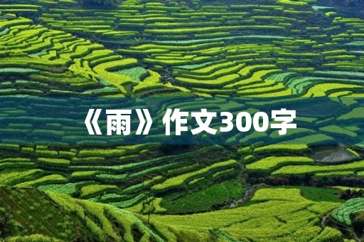 《雨》作文300字
