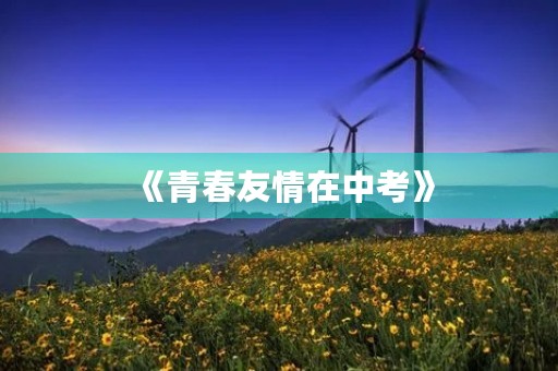 《青春友情在中考》