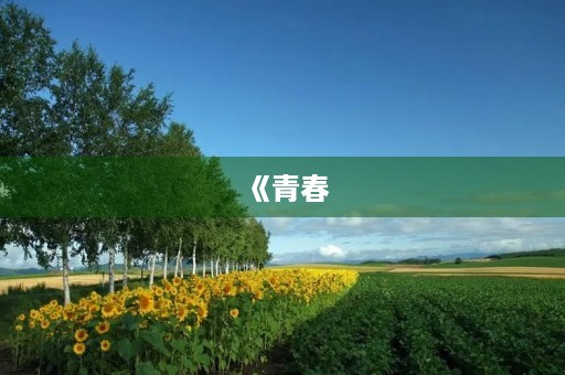 《青春，我们的宝藏》