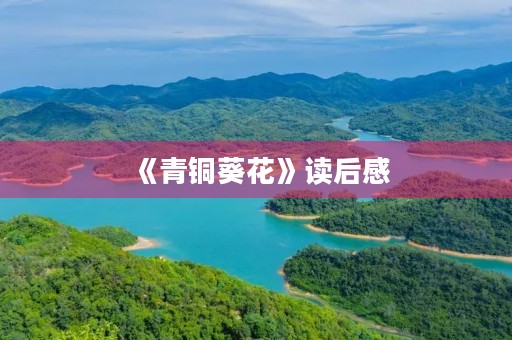 《青铜葵花》读后感 《青铜葵花》读后感