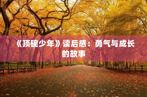 《顶碗少年》读后感：勇气与成长的故事