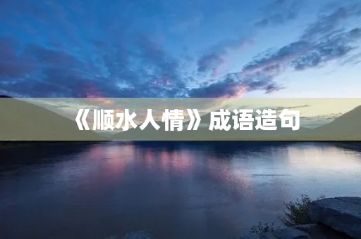 《顺水人情》成语造句