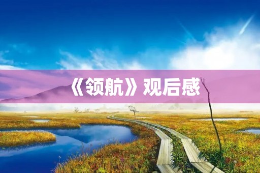 《领航》观后感
