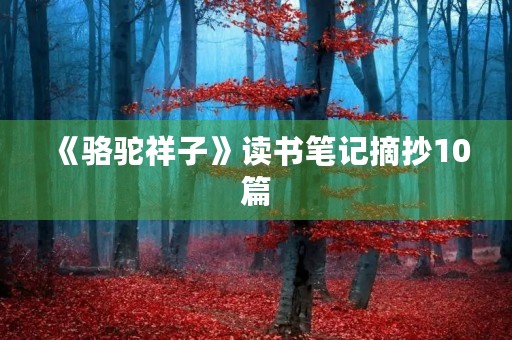 《骆驼祥子》读书笔记摘抄10篇