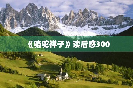 《骆驼祥子》读后感300
