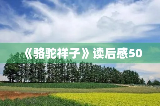 《骆驼祥子》读后感500 《骆驼祥子》读后感500