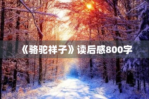 《骆驼祥子》读后感800字