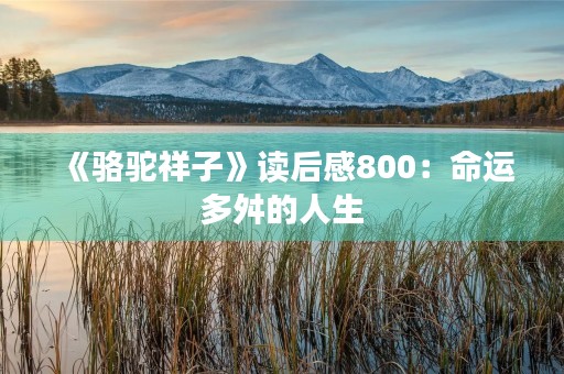 《骆驼祥子》读后感800：命运多舛的人生