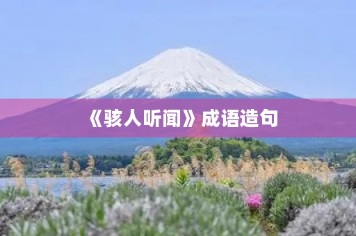 《骇人听闻》成语造句