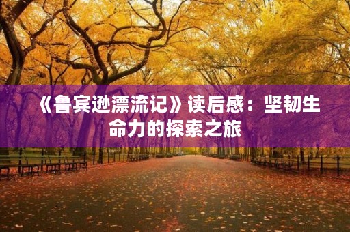 《鲁宾逊漂流记》读后感：坚韧生命力的探索之旅