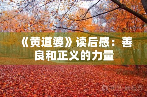 《黄道婆》读后感：善良和正义的力量