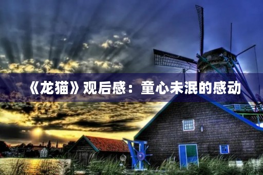 《龙猫》观后感：童心未泯的感动