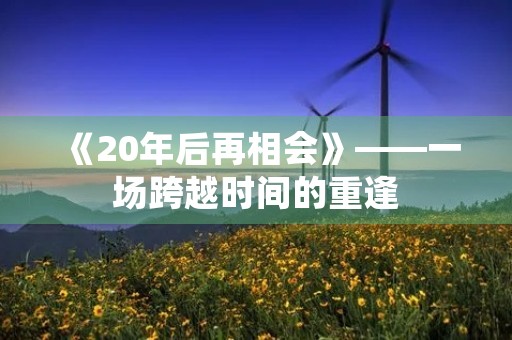《20年后再相会》——一场跨越时间的重逢