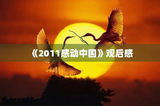 《2011感动中国》观后感