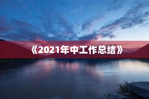 《2021年中工作总结》