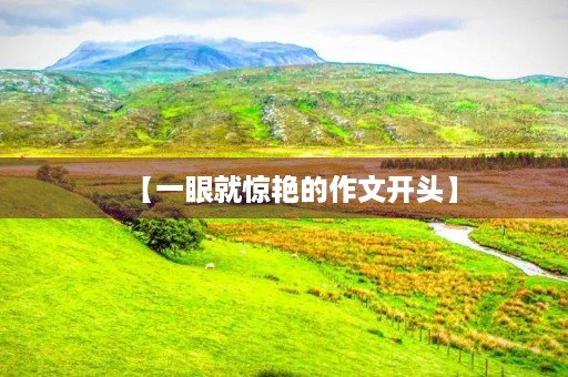 【一眼就惊艳的作文开头】