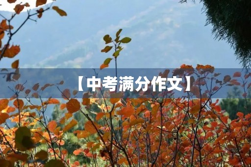 【中考满分作文】 【中考满分作文】