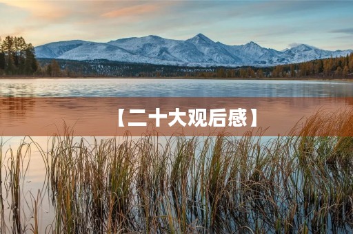 【二十大观后感】