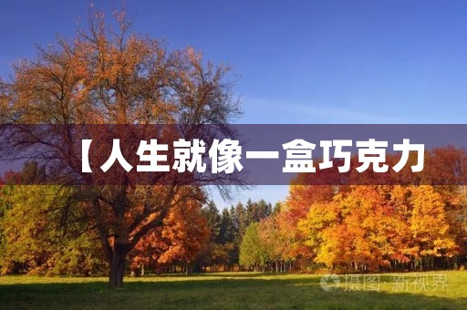 【人生就像一盒巧克力,你永远不知道下一个是什么】——《阿甘正传》观后感 【人生就像一盒巧克力,你永远不知道下一个是什么】——《阿甘正传》观后感