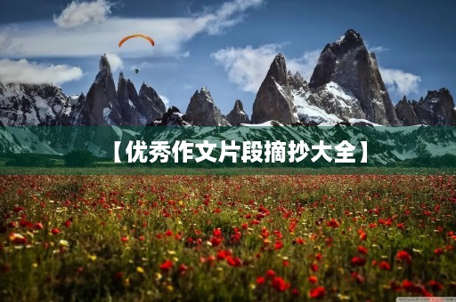 【优秀作文片段摘抄大全】