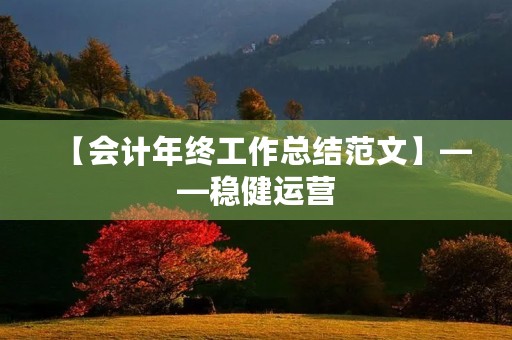 【会计年终工作总结范文】——稳健运营，精准决策