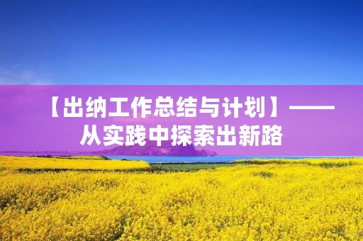 【出纳工作总结与计划】——从实践中探索出新路