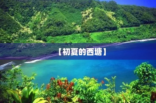 【初夏的西塘】 【初夏的西塘】