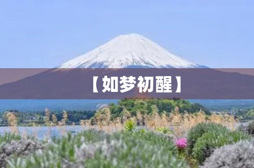 【如梦初醒】