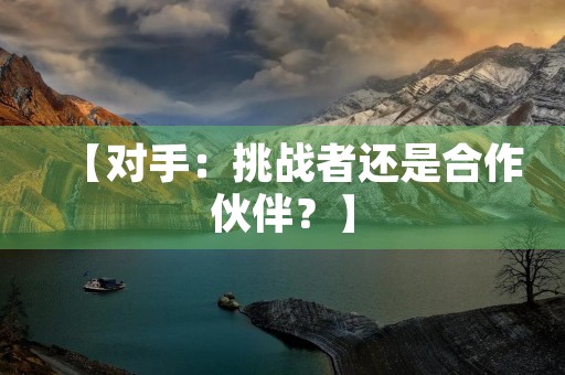 【对手:挑战者还是合作伙伴?】 【对手:挑战者还是合作伙伴?】