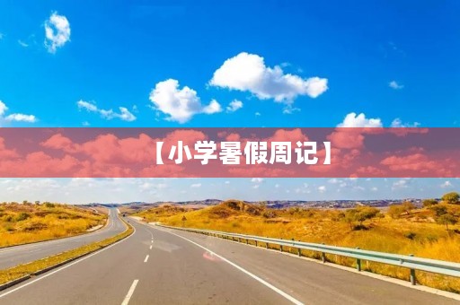 【小学暑假周记】