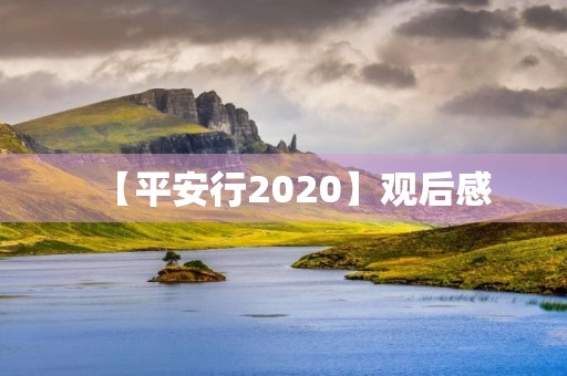 【平安行2020】观后感